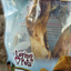 best dog bones