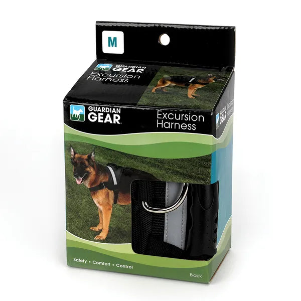 best dog harness for walking