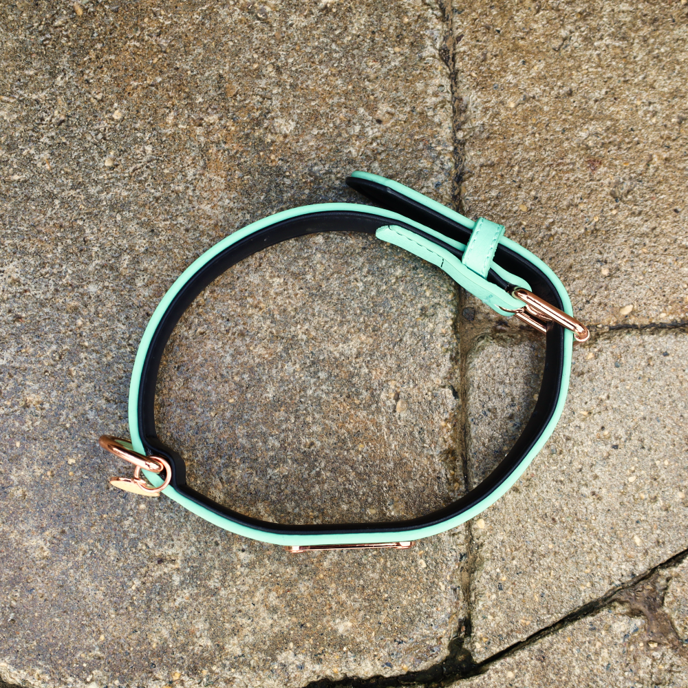 best leather dog collars