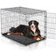 black wire crate for dogs