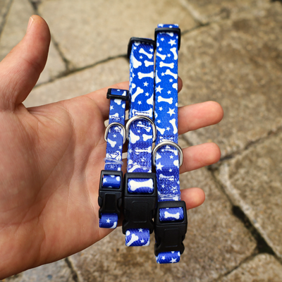 blue collars for dogs