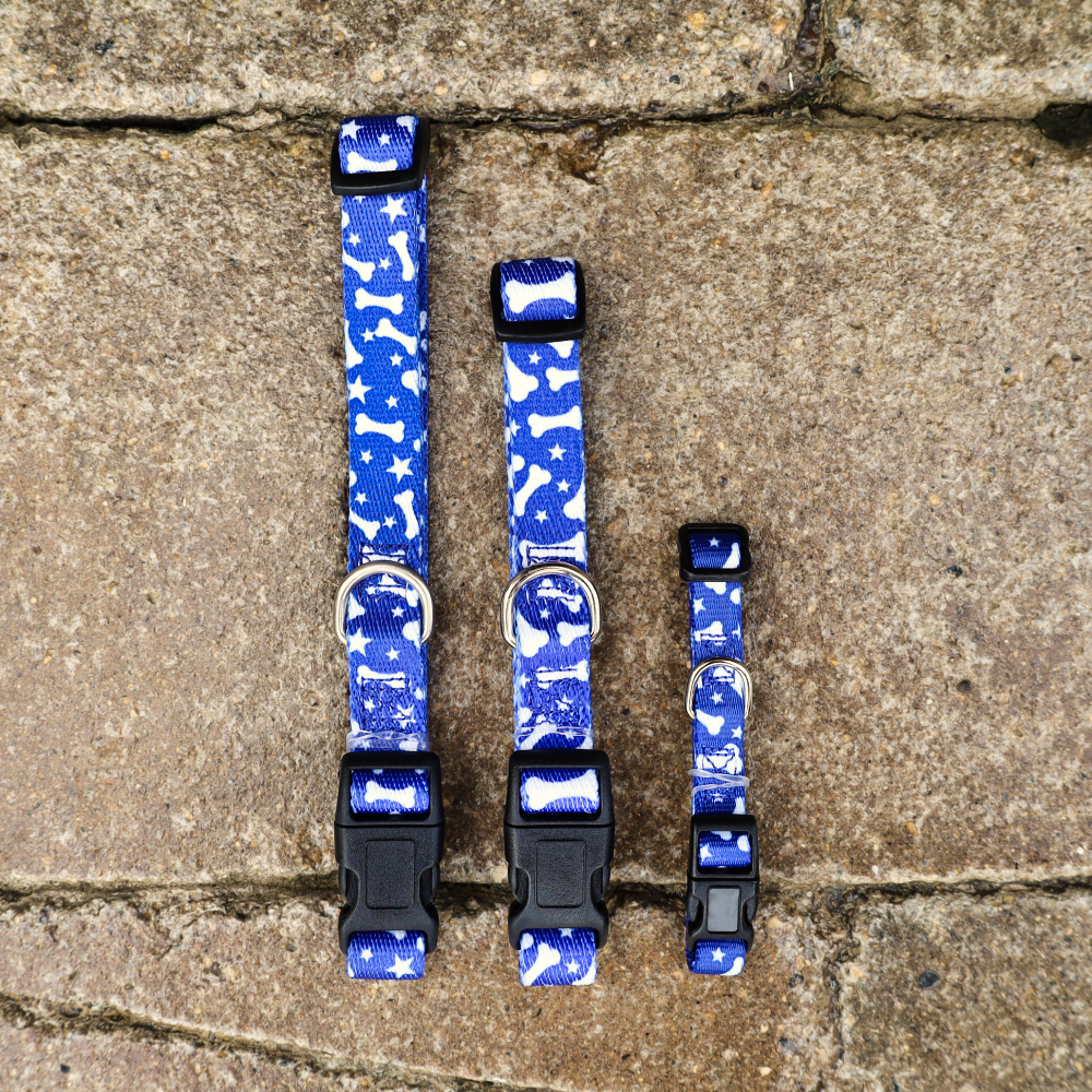 blue collars for puppies