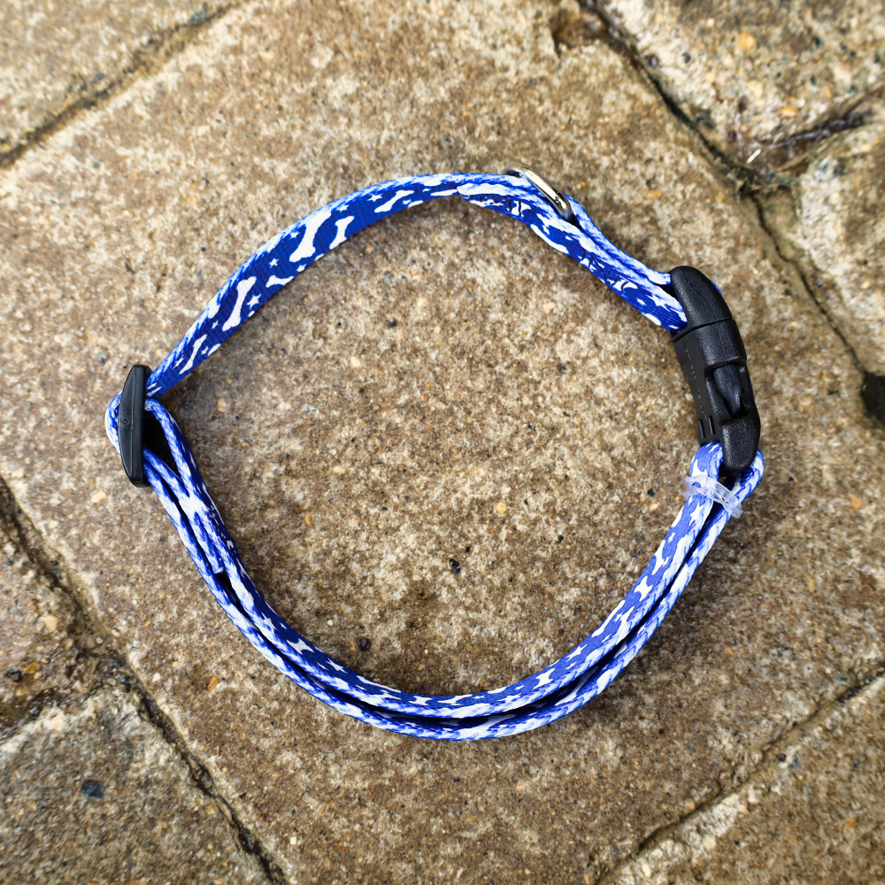blue dog collar
