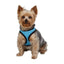 blue harness for dogs