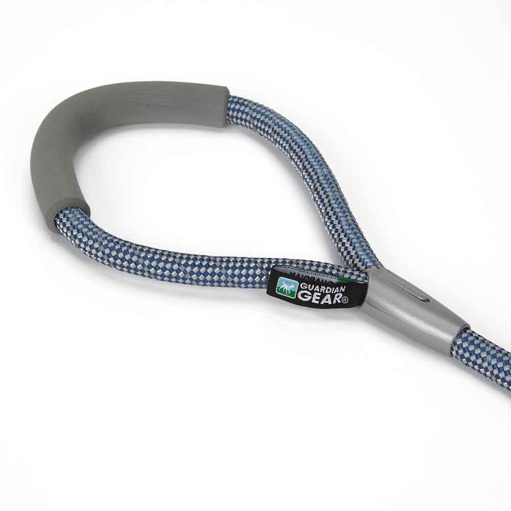 blue leash for dogs