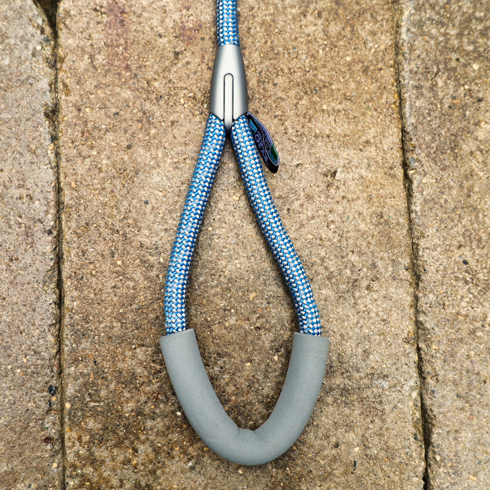 blue leash for dogs