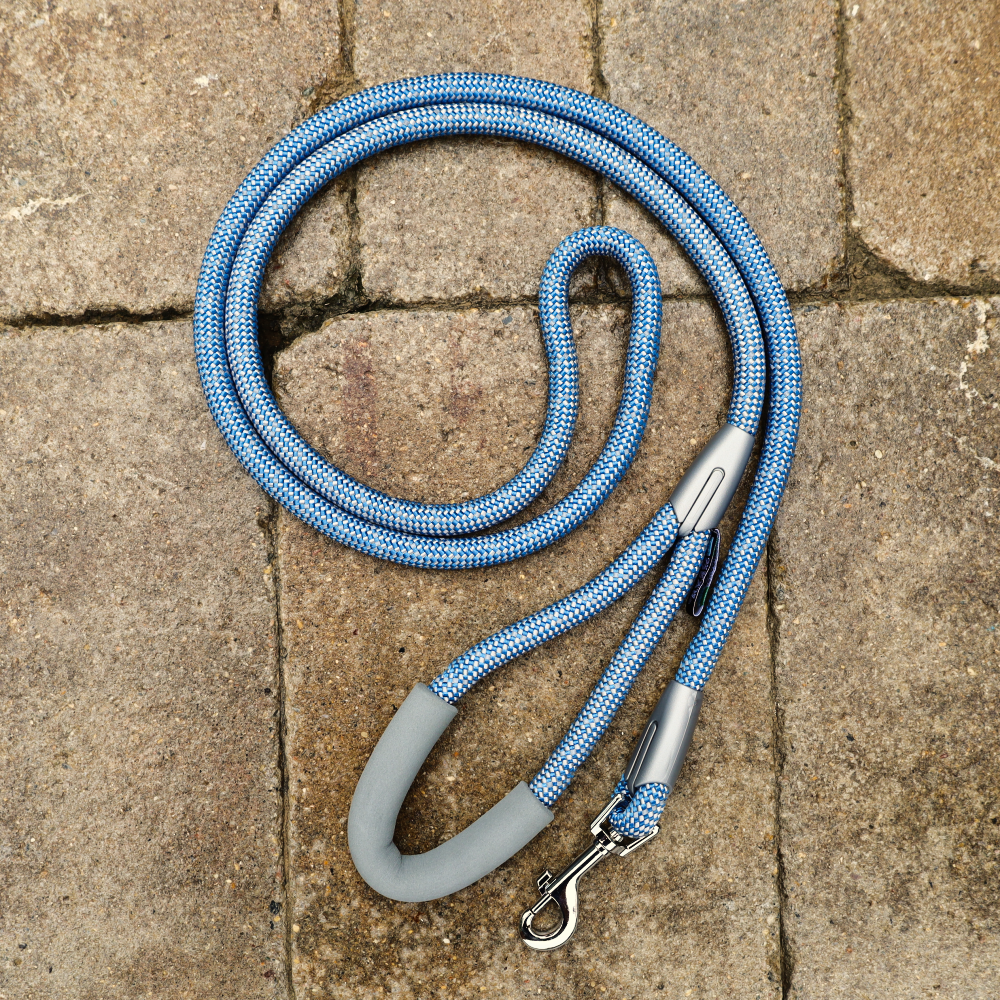 blue leashes for dogs