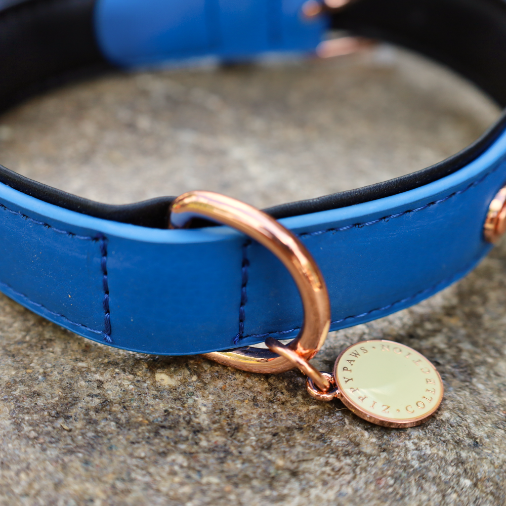 blue leather dog collar
