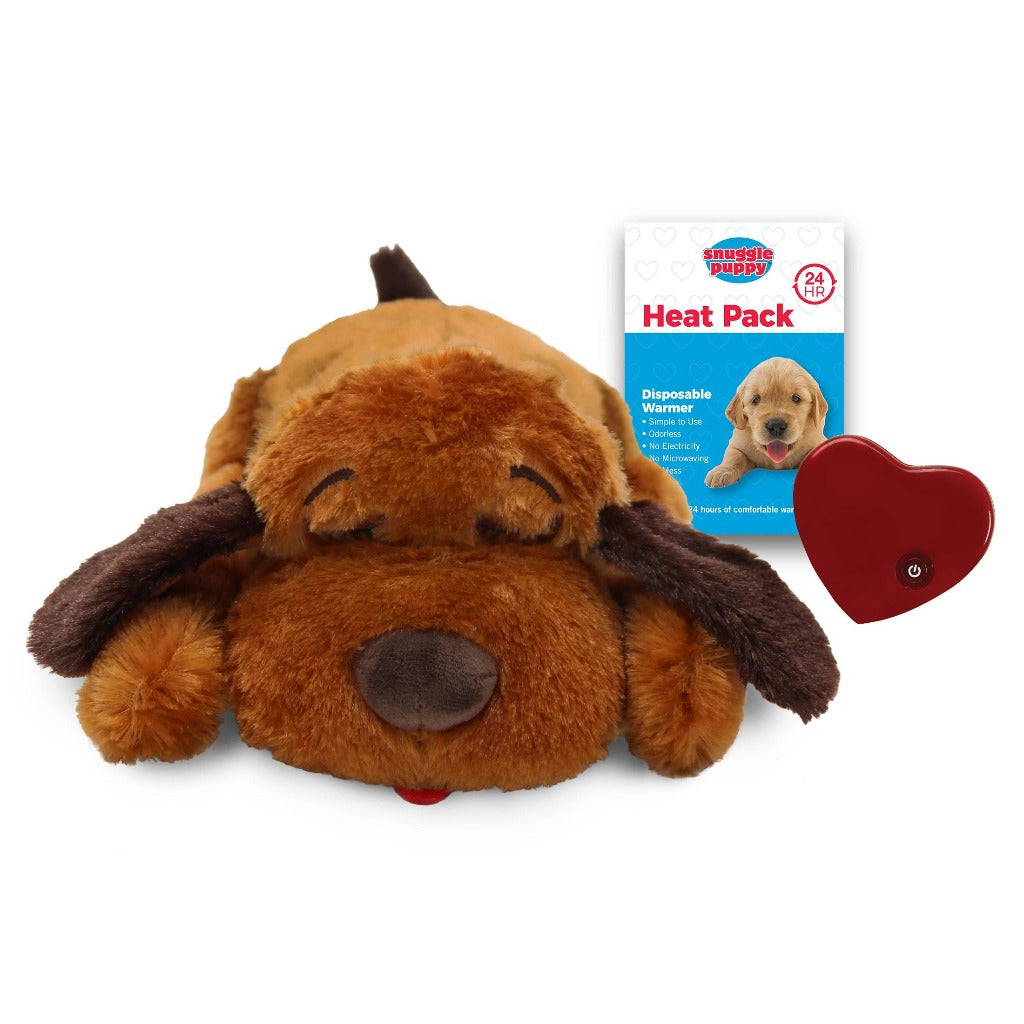 brown smart pet love snuggle puppy