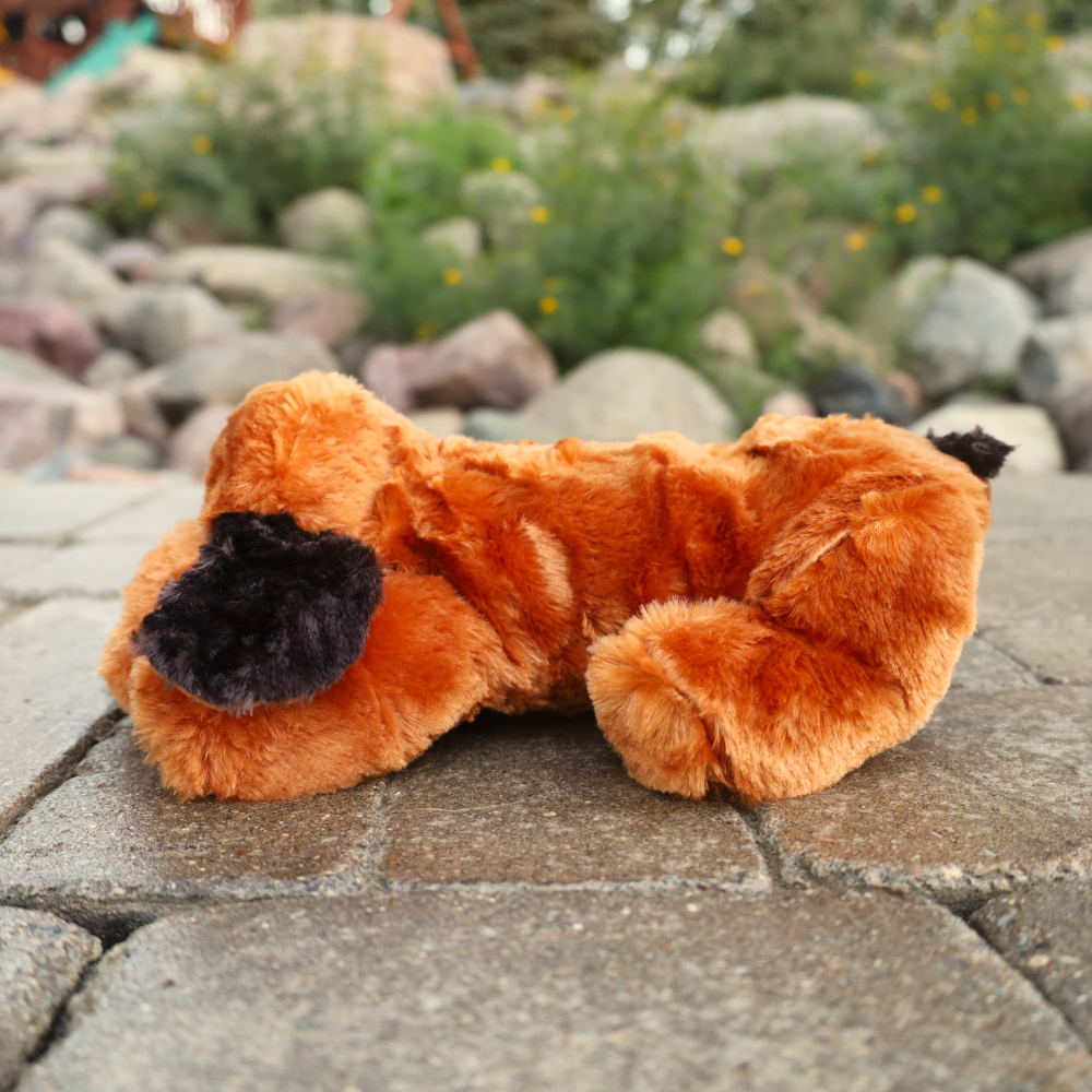 brown smart pet love snuggle puppy