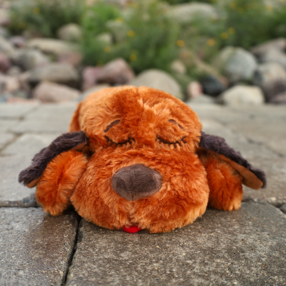 brown snuggle puppy