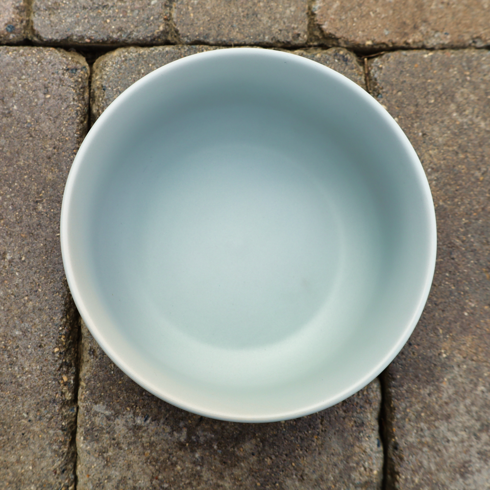 ceramic bowl for dogs