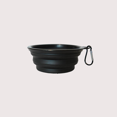 Collapsible Silicone Travel Bowl