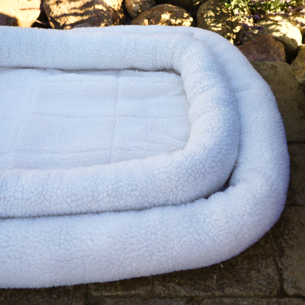 cute dog beds