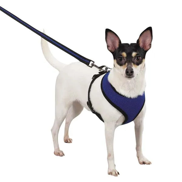 cute dog harness