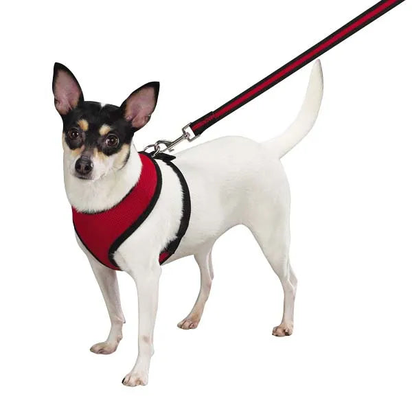 cute dog harnesses