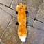 cute dog toys