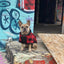 cute red plaid dog puppy hoodie
