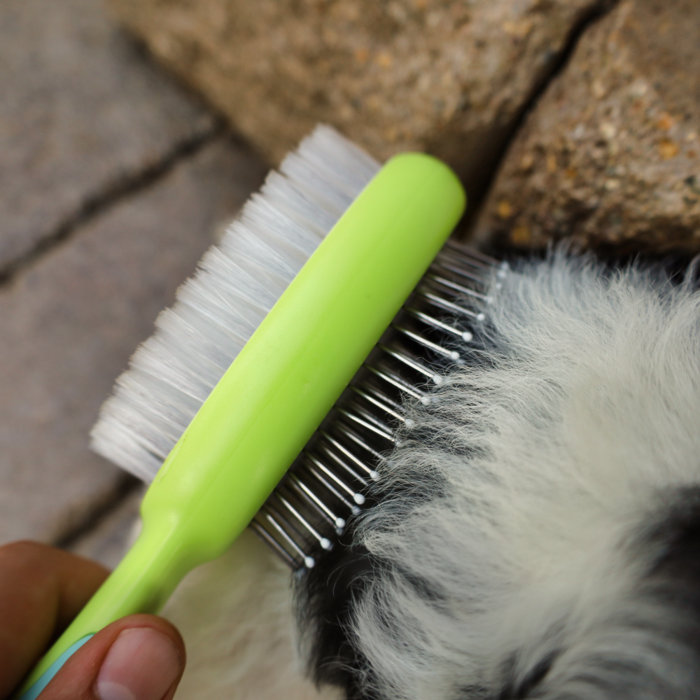 dog brush