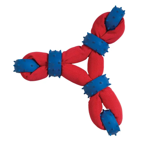 dog chew toy for gentle chewers