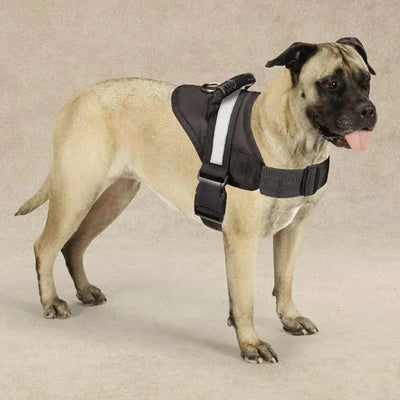 dog harness vest