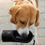dog travel water bottle