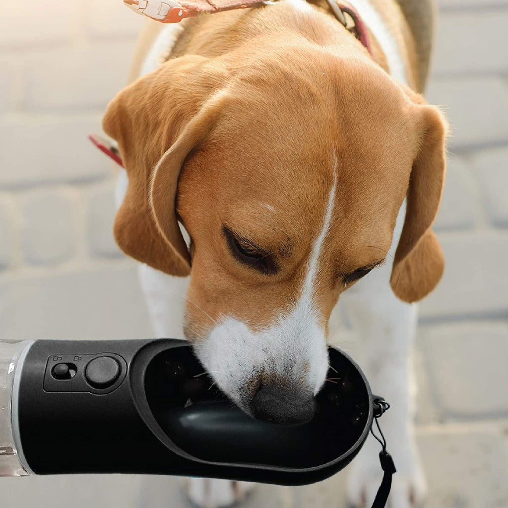 dog travel water bottle