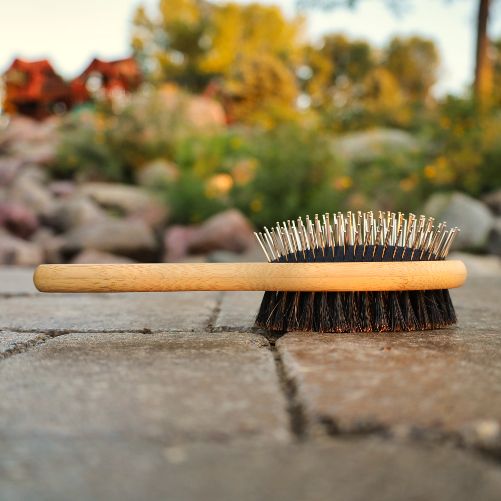 double sided dog brush