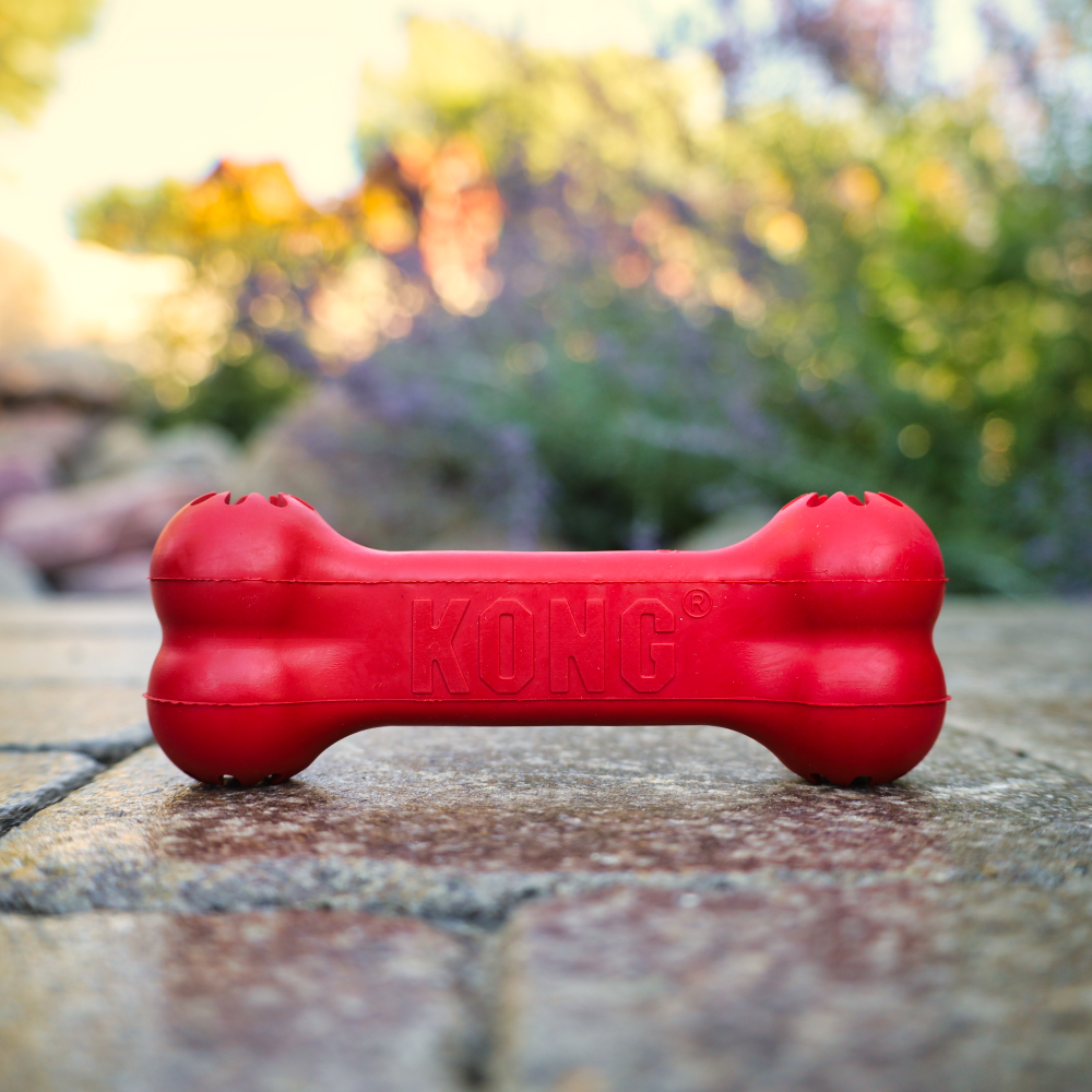 durable rubber kong goodie bone