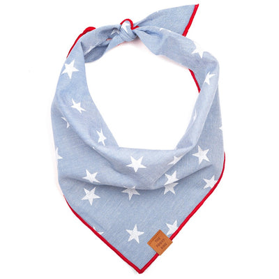 foggy dog bandanas
