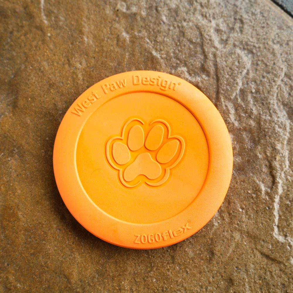 frisbee-for-dogs