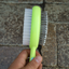 grooming brush for dogs