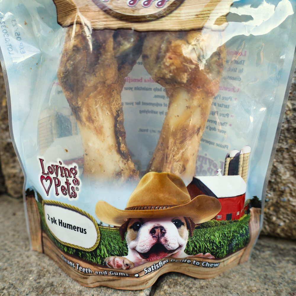 healthy dog bones