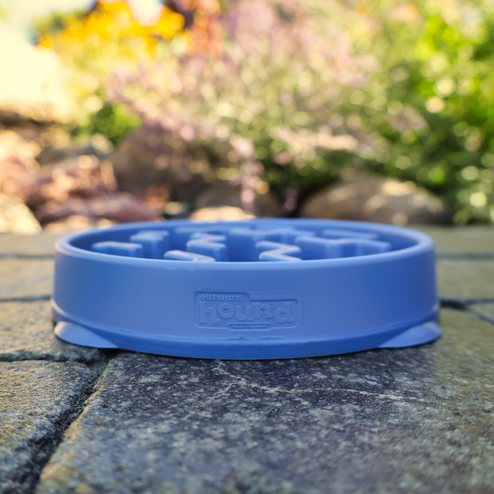 interactive blue dog feeder