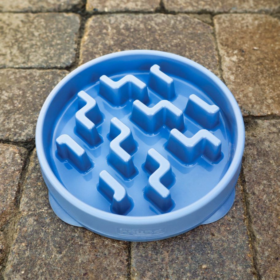 interactive blue dog slow feeder