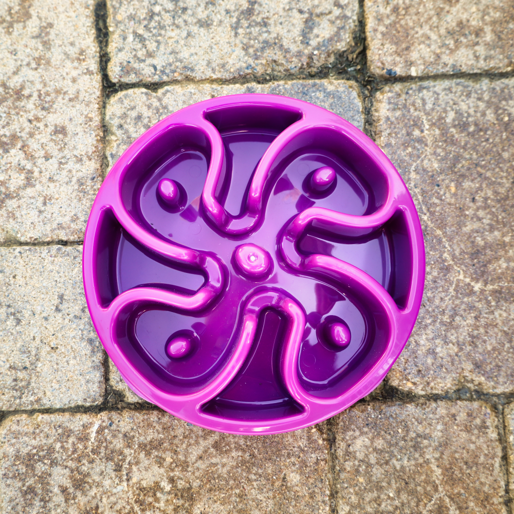 interactive purple dog slow bowl