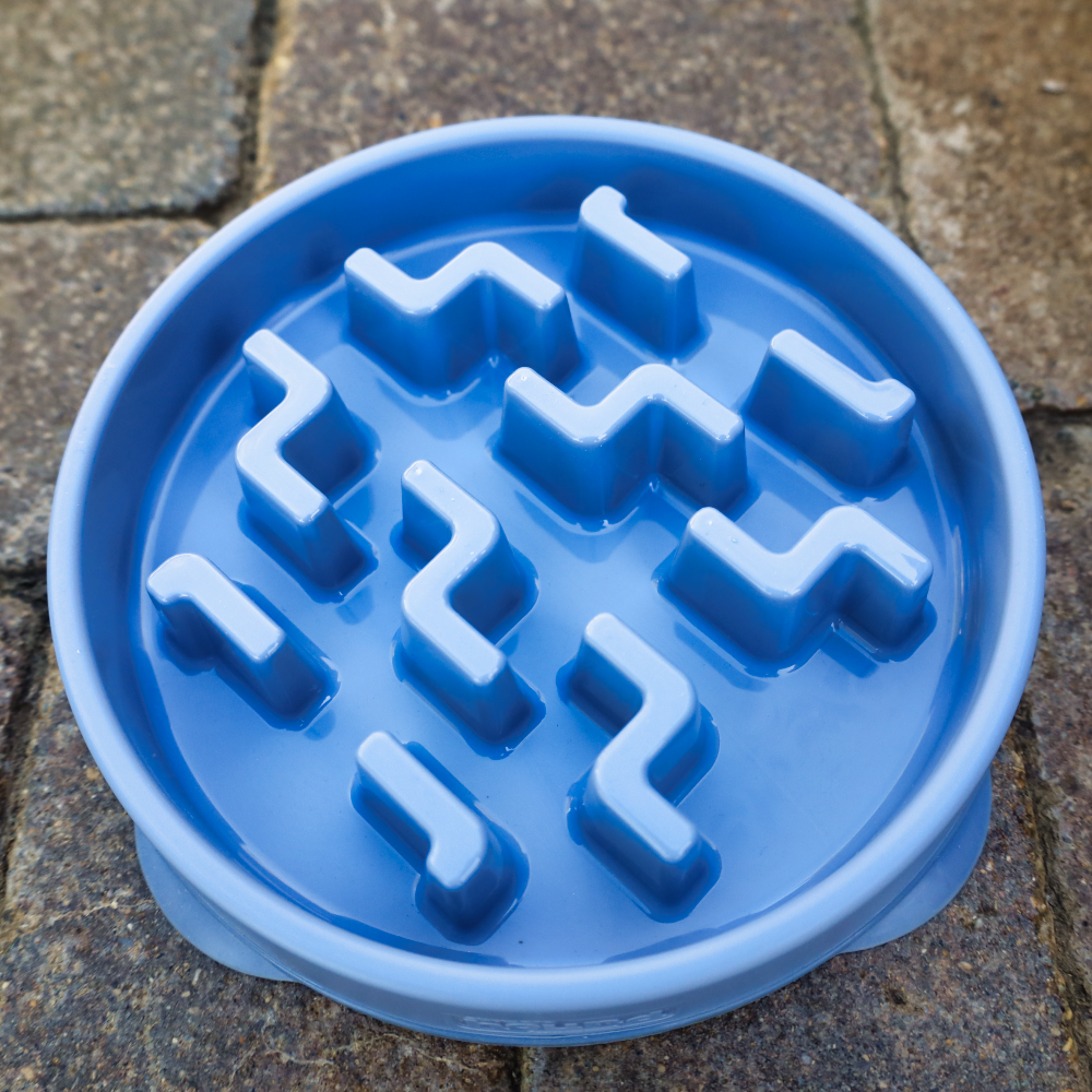 interactive slow blue dog bowl