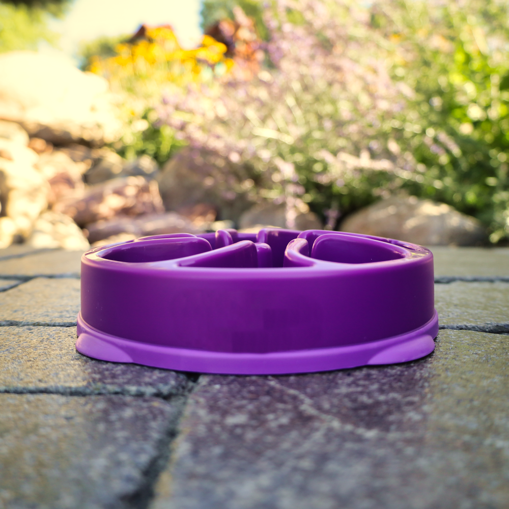 interactive slow purple dog bowl