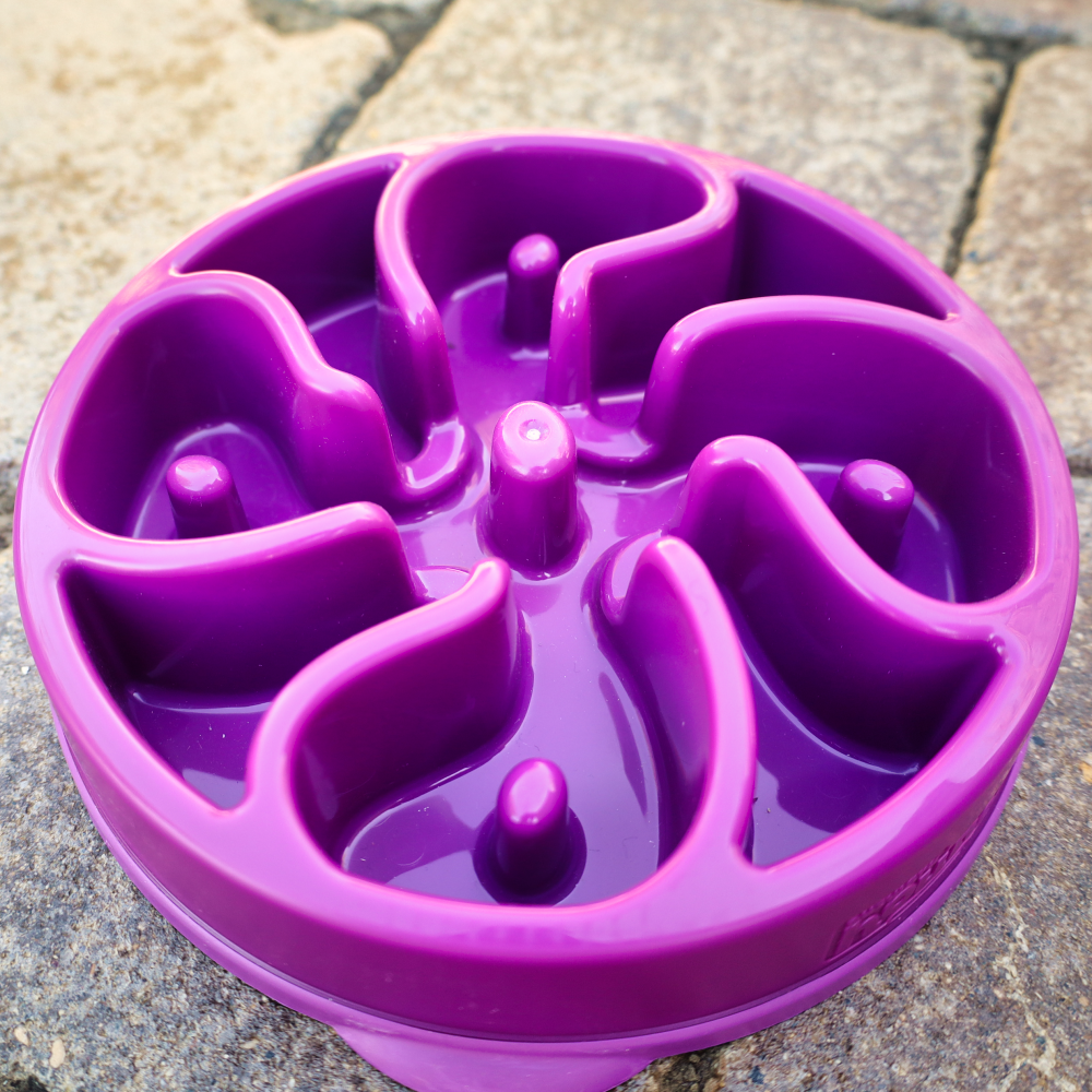 interactive slow purple dog feeder