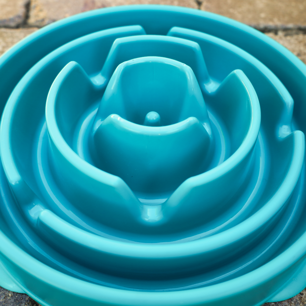 interactive slow turquoise dog bowl