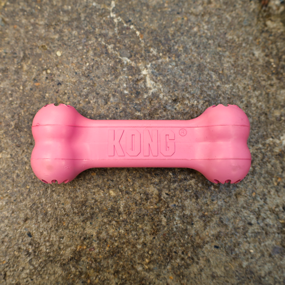 kong dog toys