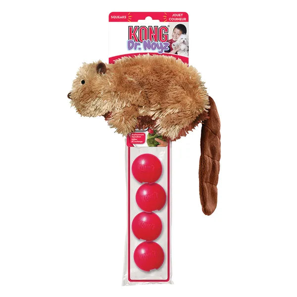 kong small beaver dog toy
