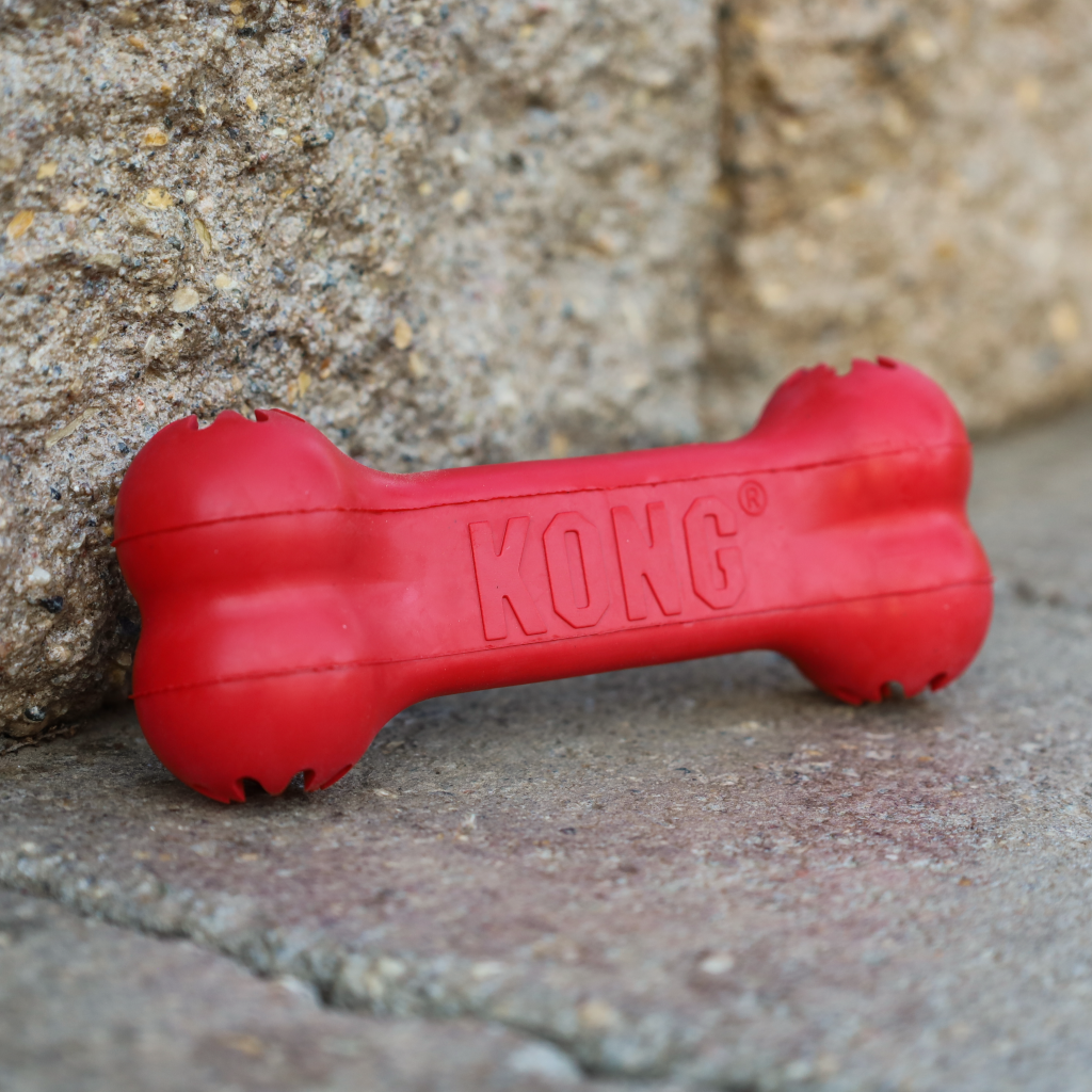 kong toys