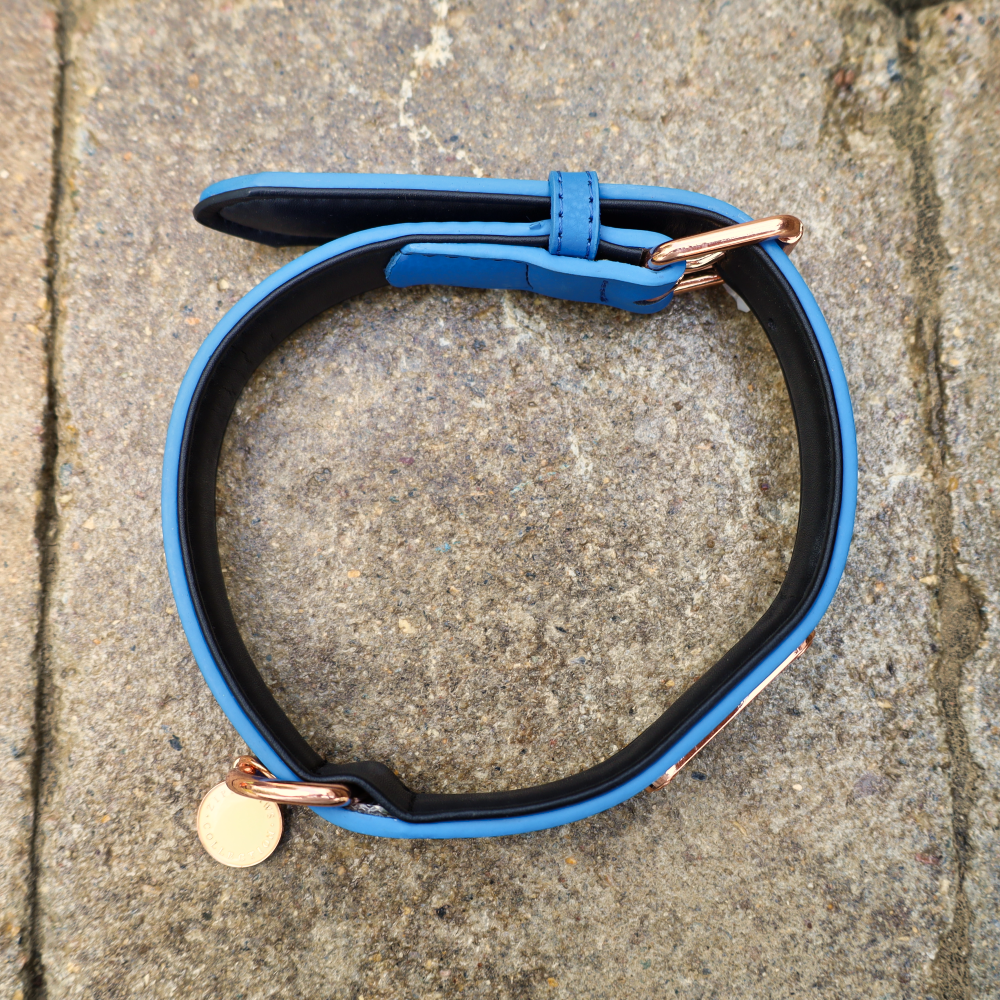 leather collar for dogs