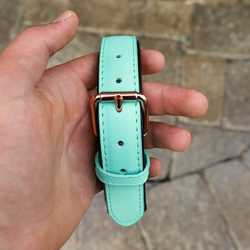 leather dog collar