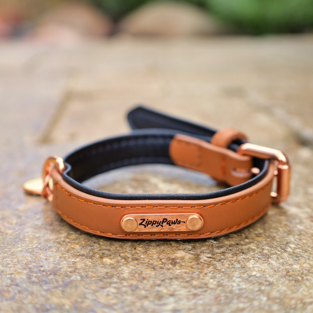 leather dog collars
