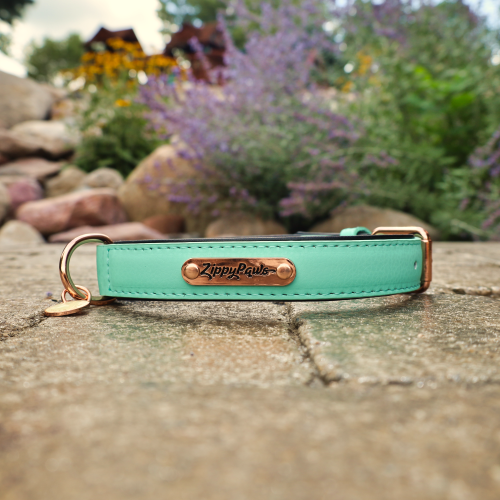 leather dog collars