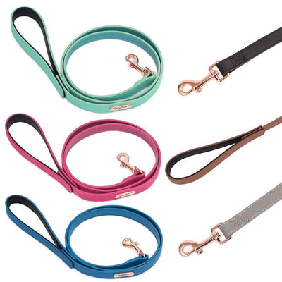 Genuine Leather Dog Leash | 5 Foot - Little Paws Unleashed