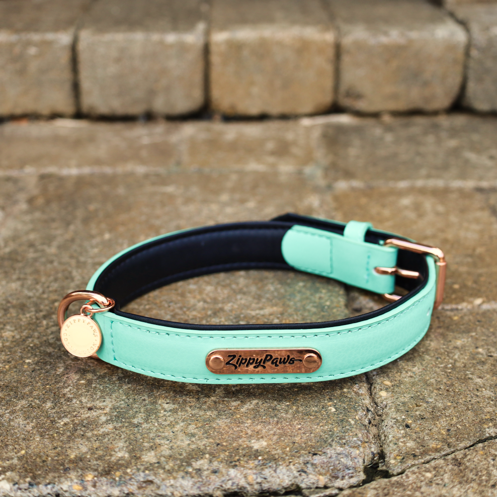 luxury leather dog collars