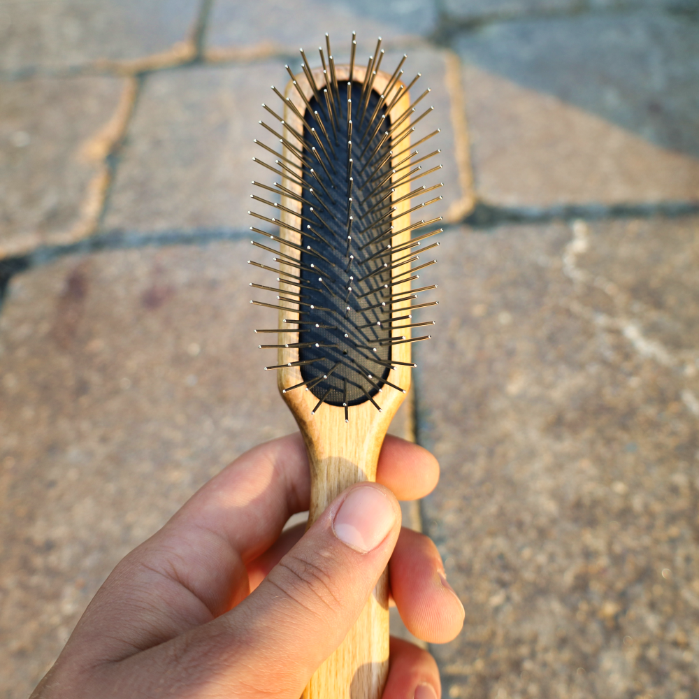 oblong dog brush